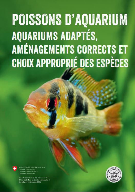 Brochure poissons d'aquarium